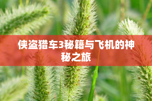 侠盗猎车3秘籍与飞机的神秘之旅图片