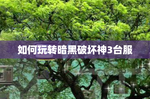 如何玩转暗黑破坏神3台服图片
