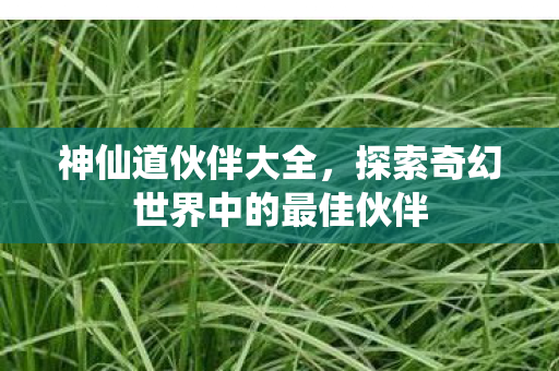 探索奇幻世界中的最佳伙伴图片
