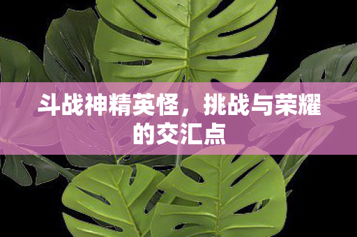 挑战与荣耀的交汇点图片