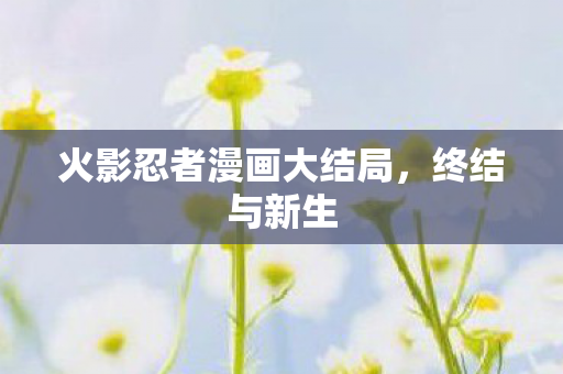 火影忍者漫画大结局图片