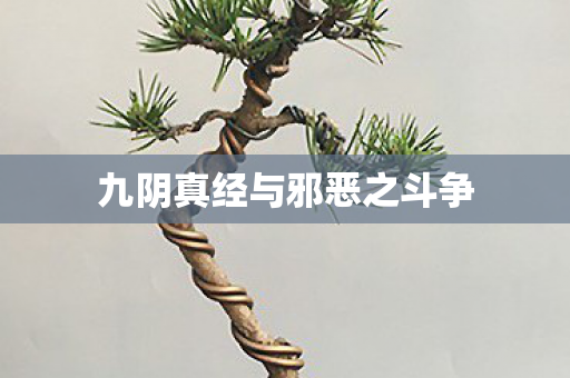 九阴真经与邪恶之斗争图片