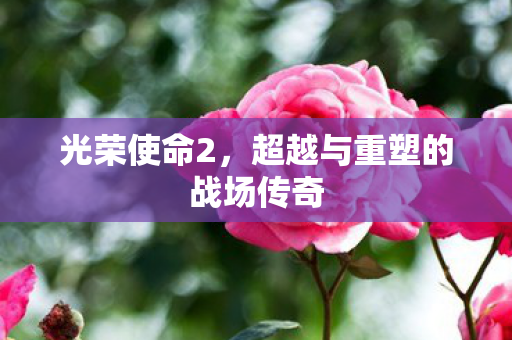 超越与重塑的战场传奇图片