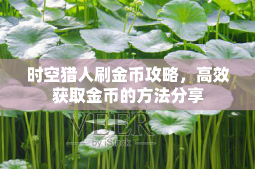 高效获取金币的方法分享图片