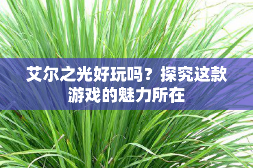 探究这款游戏的魅力所在图片