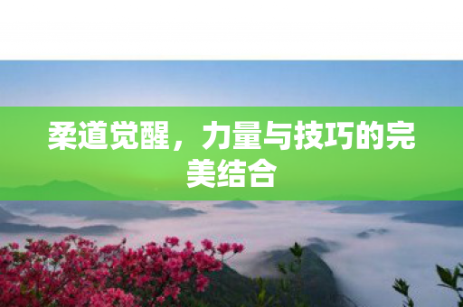 力量与技巧的完美结合图片