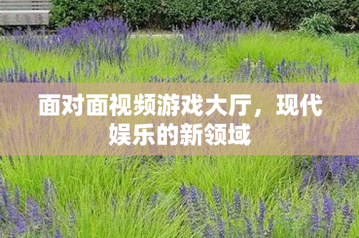 面对面视频游戏大厅图片