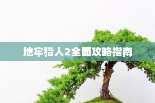 地牢猎人2全面攻略指南图片