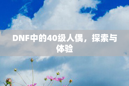 DNF中的40级人偶图片