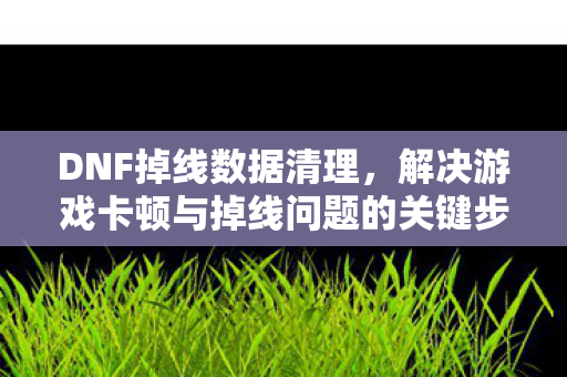 解决游戏卡顿与掉线问题的关键步骤图片