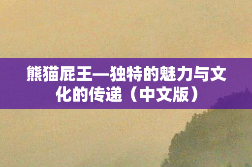 独特的魅力与文化的传递图片