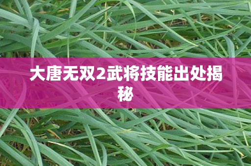 大唐无双2武将技能出处揭秘图片