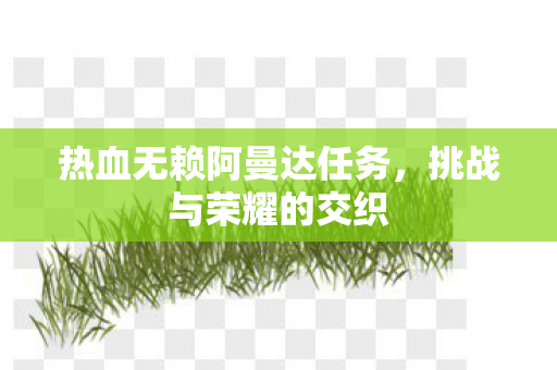 热血无赖阿曼达任务图片