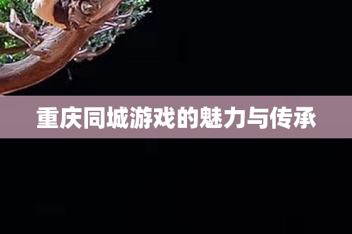 重庆同城游戏的魅力与传承图片