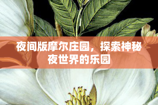 探索神秘夜世界的乐园图片