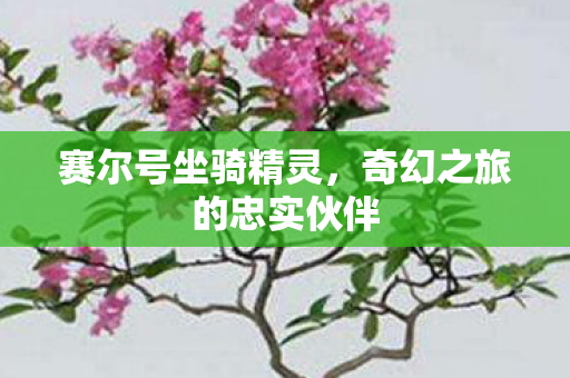 奇幻之旅的忠实伙伴图片