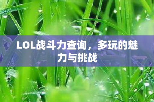 LOL战斗力查询图片