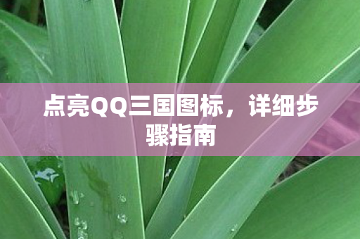 点亮QQ三国图标图片