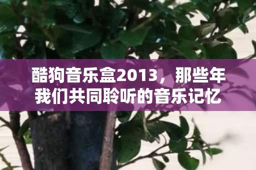 那些年我们共同聆听的音乐记忆图片
