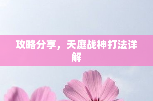 天庭战神打法详解图片