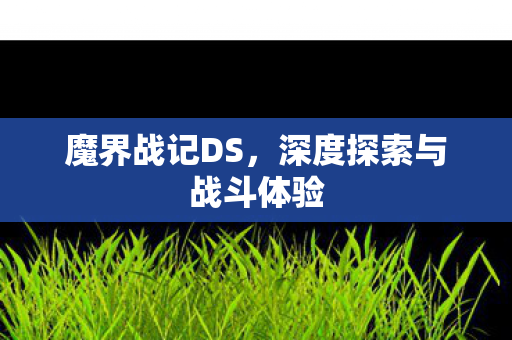 深度探索与战斗体验图片
