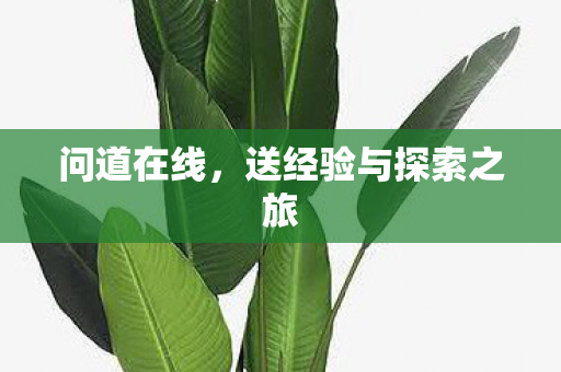 送经验与探索之旅图片