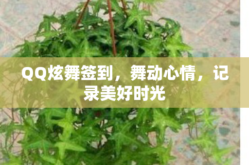 QQ炫舞签到图片