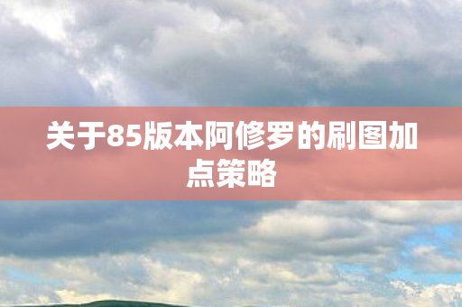 关于85版本阿修罗的刷图加点策略图片