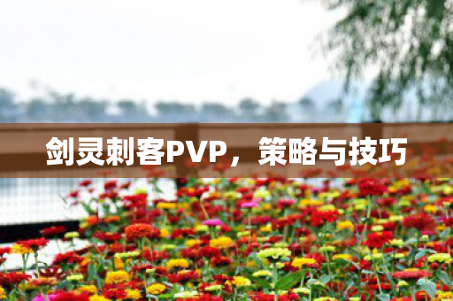 剑灵刺客PVP图片
