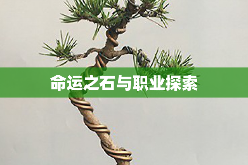 命运之石与职业探索图片