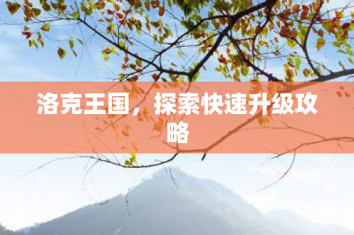 探索快速升级攻略图片