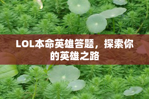 LOL本命英雄答题图片