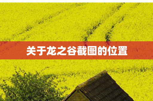 关于龙之谷截图的位置图片