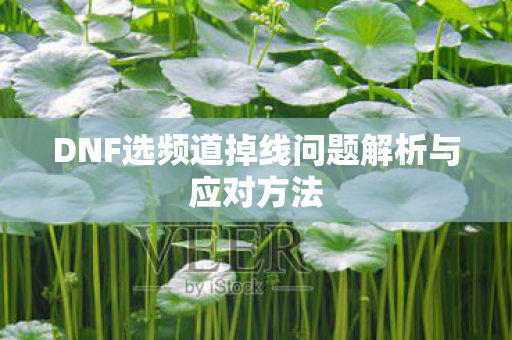 DNF选频道掉线问题解析与应对方法图片
