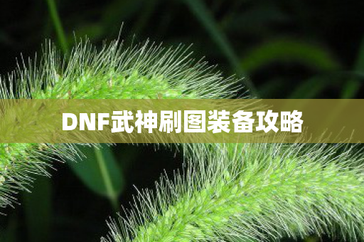 DNF武神刷图装备攻略图片