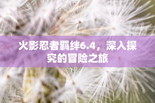 深入探究的冒险之旅图片