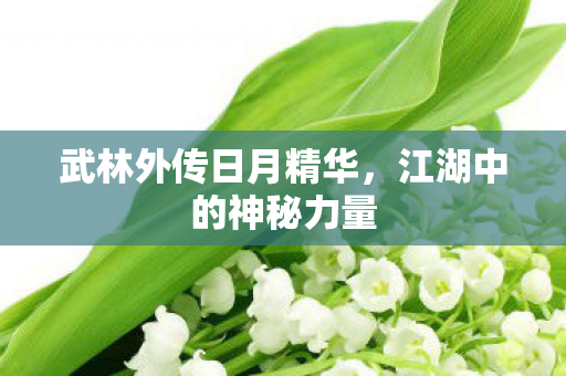 武林外传日月精华图片