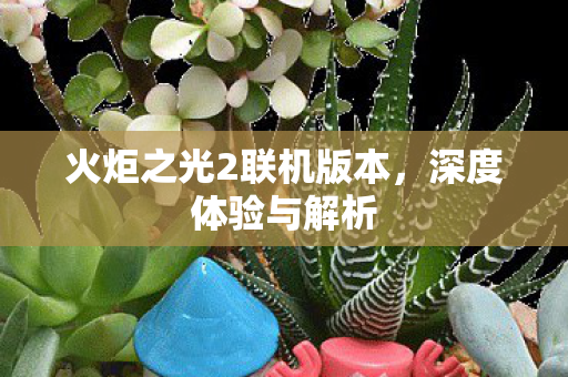 火炬之光2联机版本图片