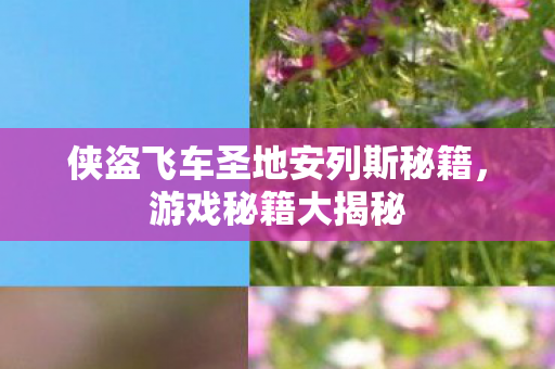 侠盗飞车圣地安列斯秘籍图片