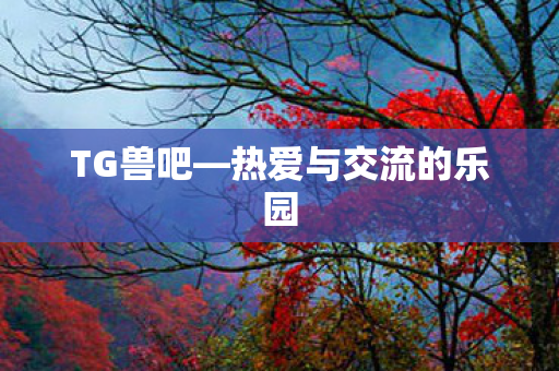 热爱与交流的乐园图片