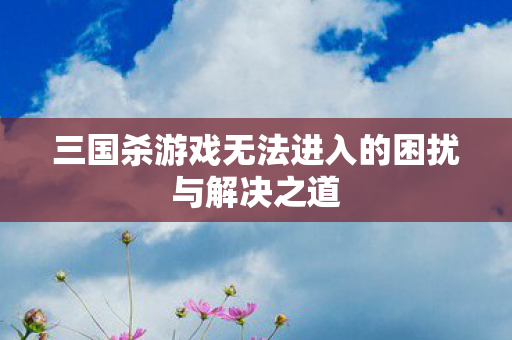 三国杀游戏无法进入的困扰与解决之道图片