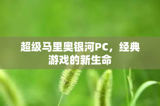 超级马里奥银河PC图片