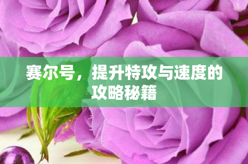 提升特攻与速度的攻略秘籍图片