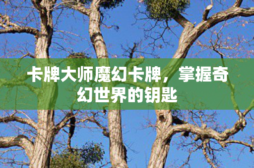 掌握奇幻世界的钥匙图片