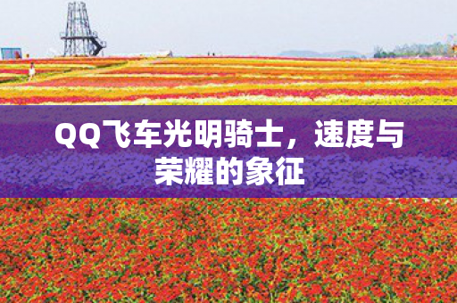 QQ飞车光明骑士图片