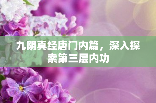 深入探索第三层内功图片