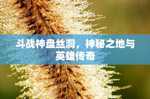 神秘之地与英雄传奇图片