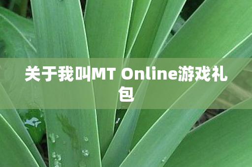关于我叫MT Online游戏礼包图片