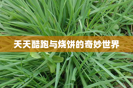 天天酷跑与烧饼的奇妙世界图片
