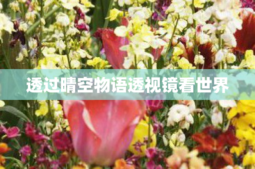 透过晴空物语透视镜看世界图片